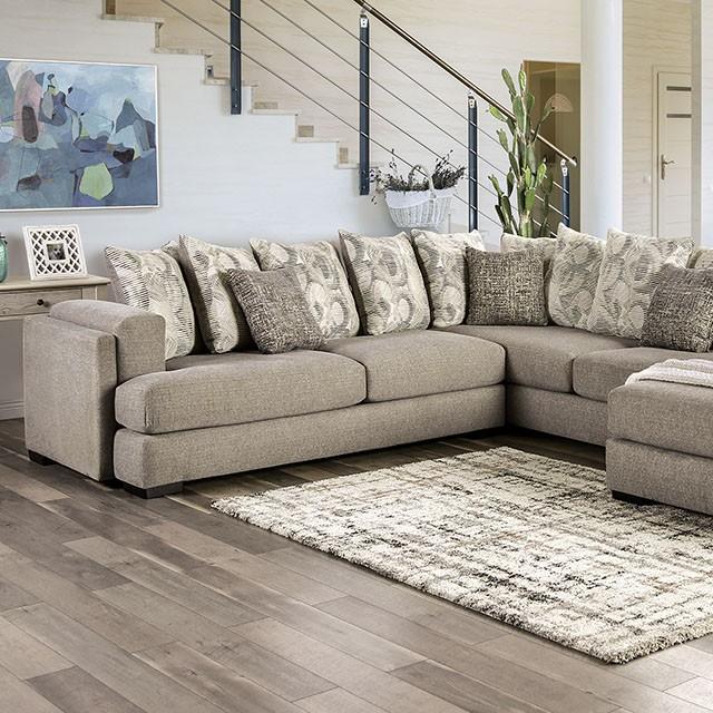 ANGELIA Sectional image