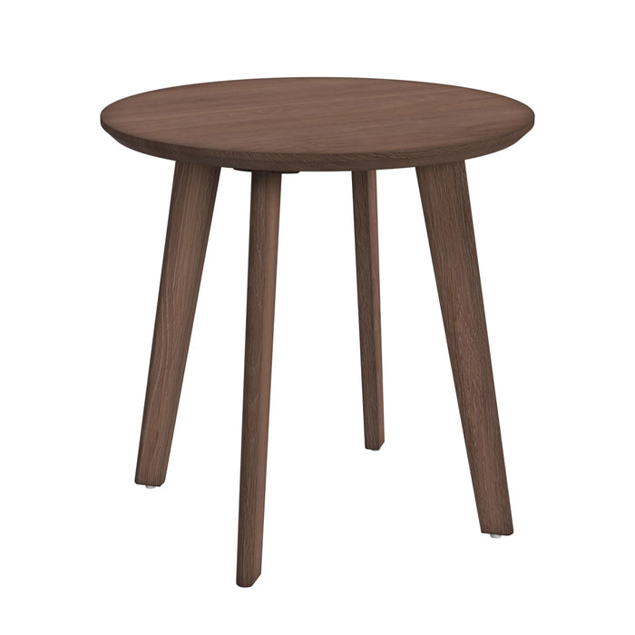 Theo Three Pack Occasional Set with Coffee Table and 2 End Tables in Walnut