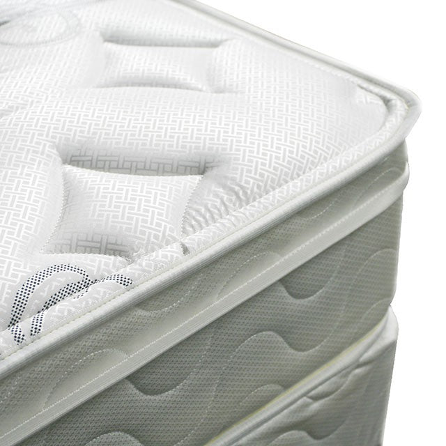 Jalen 9 Euro Top Mattress Non-Flip